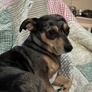 Meet your Posher, Kasey